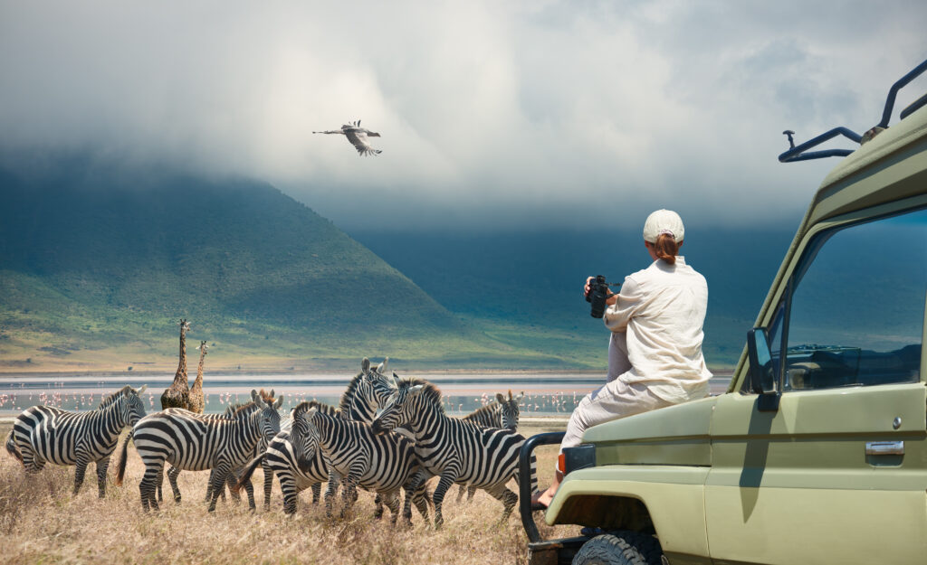 Ngorongoro krater uitzicht op zebra's