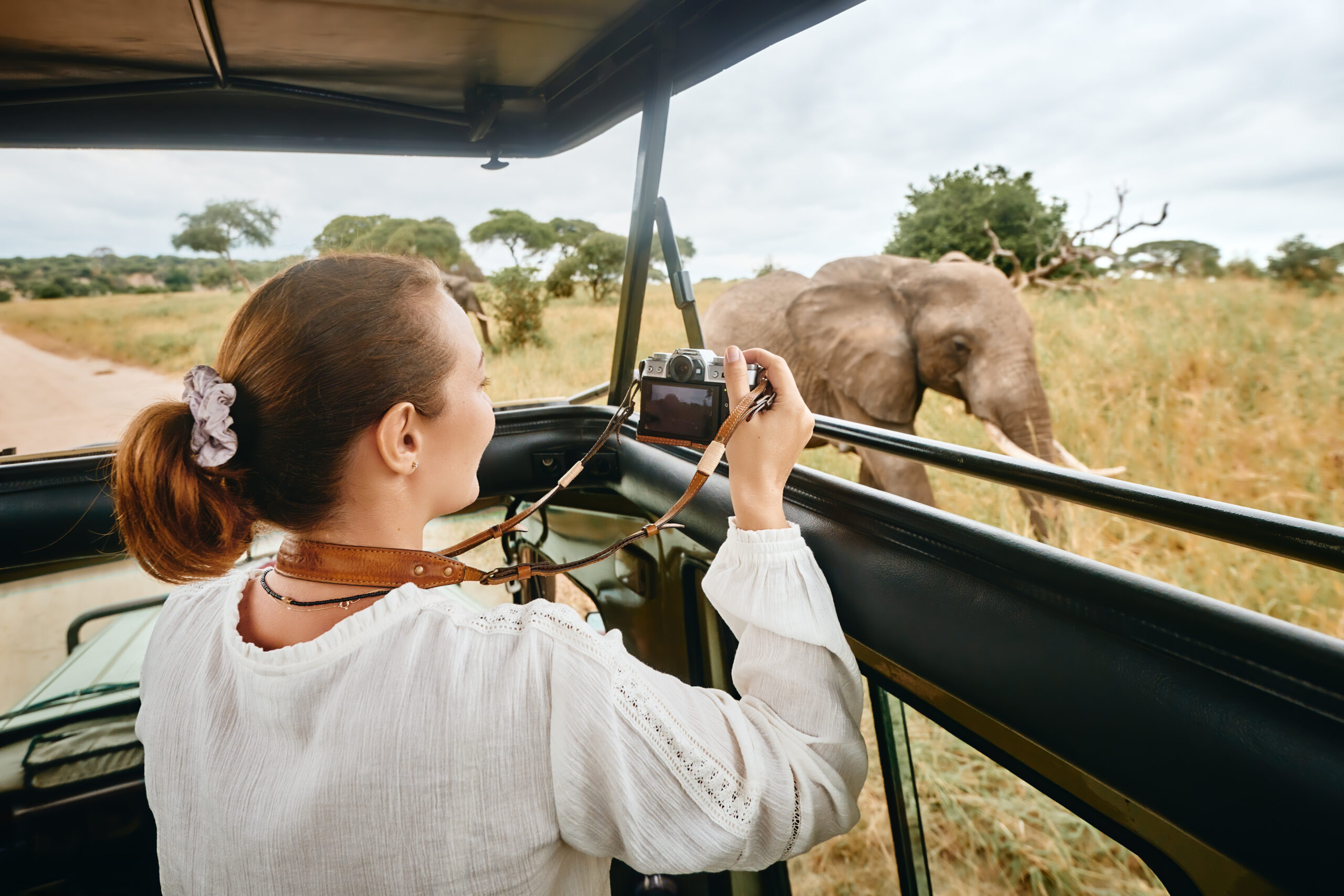 Woman,Tourist,On,Safari,In,Africa,,Traveling,By,Car,With