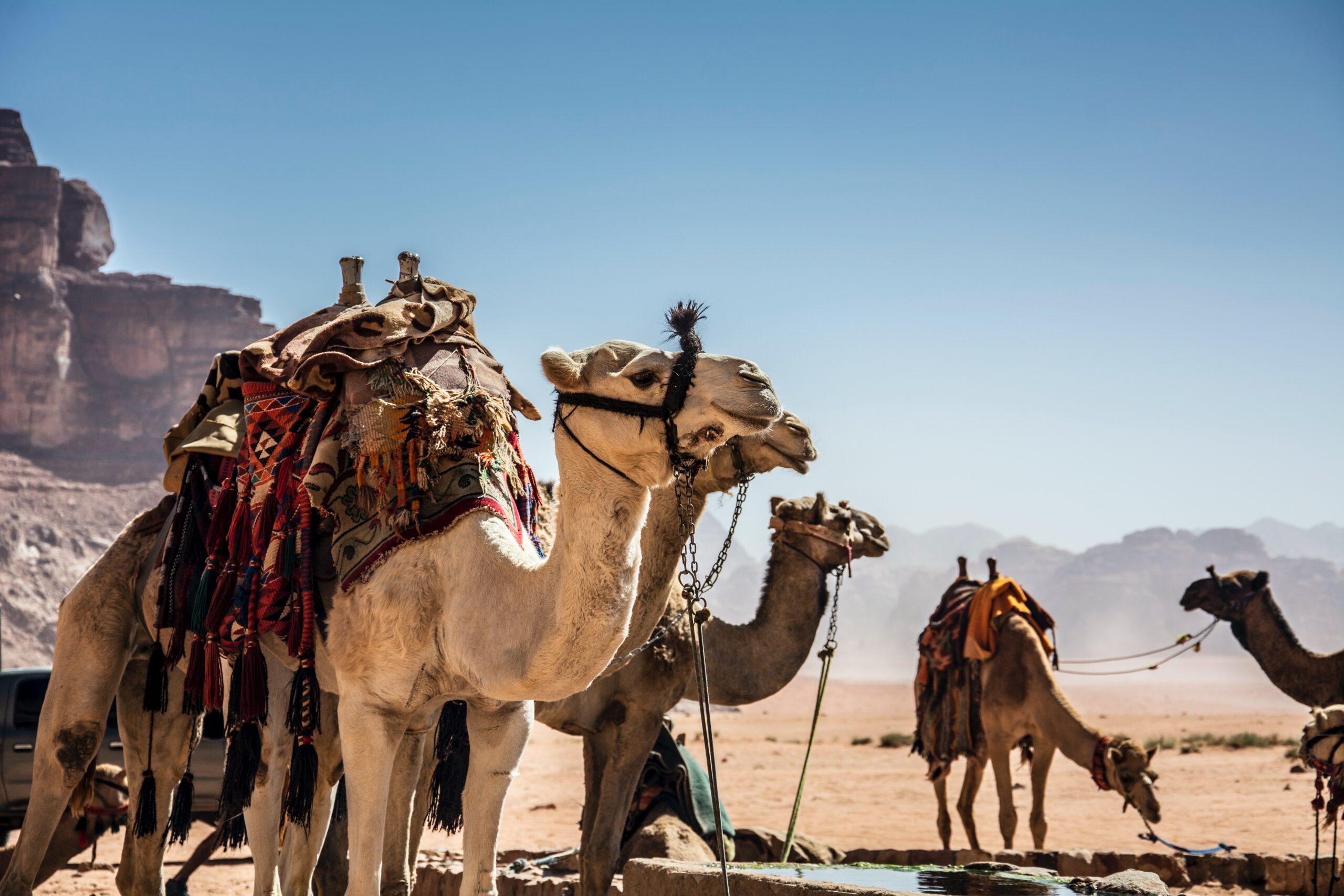 Rondreis Jordanië - Voyage Unique - Wadi Rum