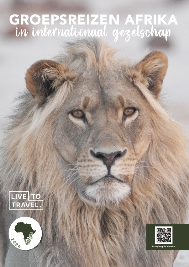 live-to-travel-brochure-groepsreizen-afrika-2026